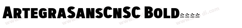 ArtegraSansCnSC Bold字体转换